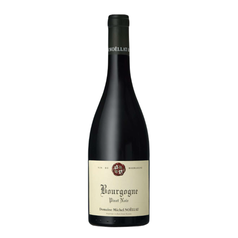 DOMAINE MICHEL NOELLAT Bourgogne Pinot Noir 2019