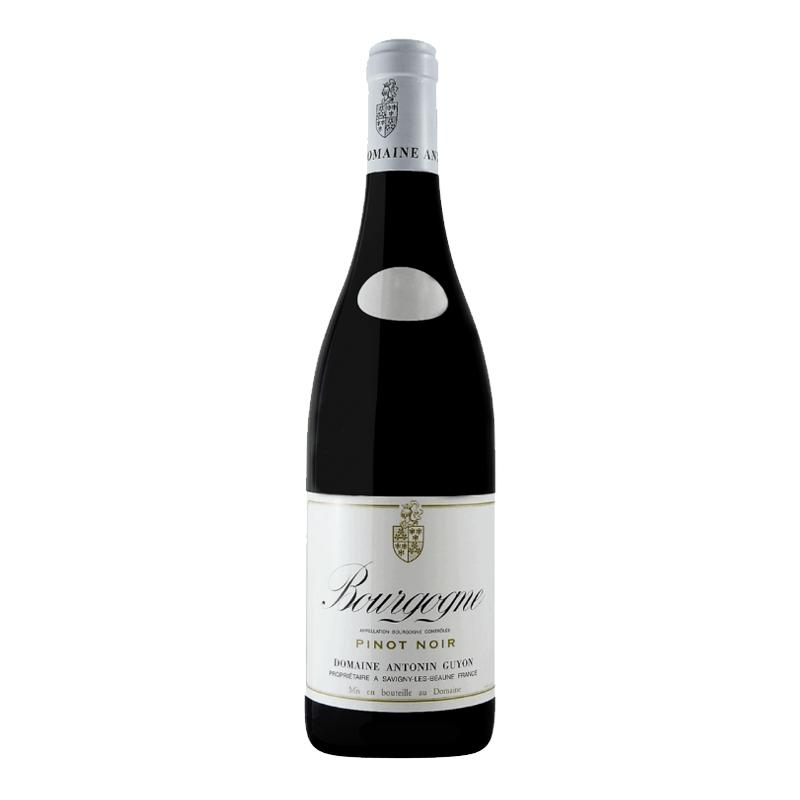Domaine Antonin Guyon Bourgogne Pinot Noir 2020