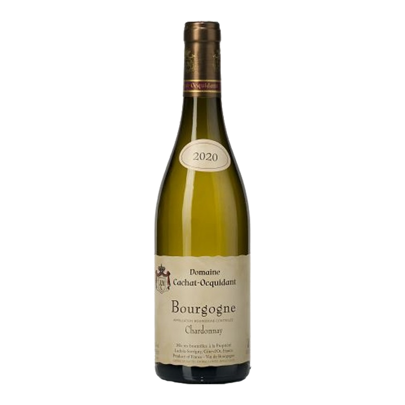 Domaine Cachat-Ocquidant et Fils Bourgogne Chardonnay 2020