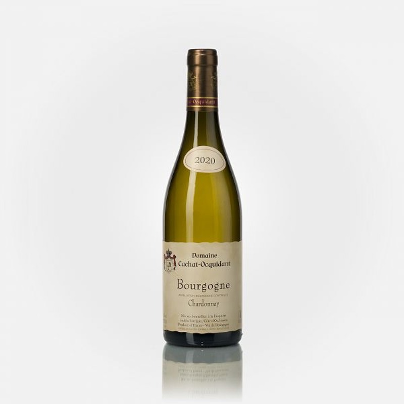 Domaine Cachat-Ocquidant et Fils Bourgogne Chardonnay 2020